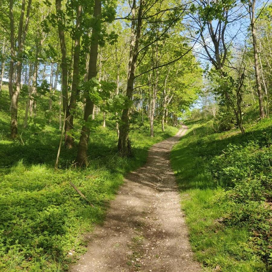 Holly Cottage, Hidden Gem In The Yorkshire Wolds Welton  Dış mekan fotoğraf