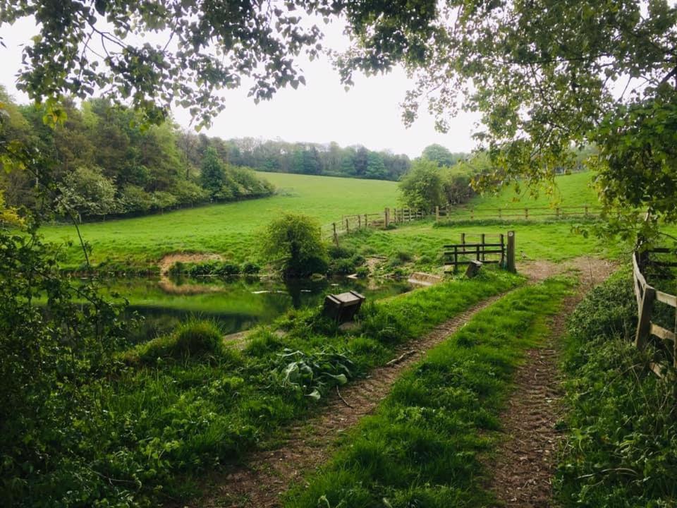 Holly Cottage, Hidden Gem In The Yorkshire Wolds Welton  Dış mekan fotoğraf